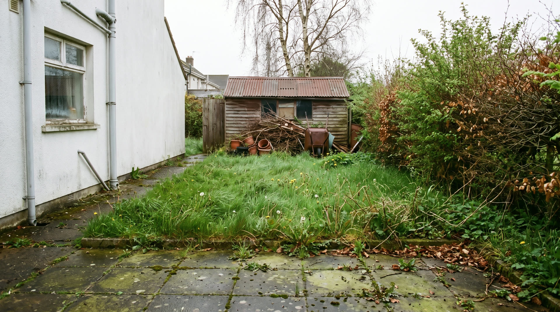 Verwahrloster Garten mit kniehohem Gras, wildem Gebüsch und einem Haufen Grünschnitt vor der Hütte